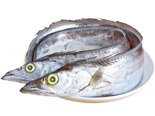 帶魚(yú)